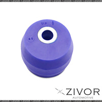 SUPERPRO Diff Mount Bush Kit For FORD AUSTRALIA FALCON BA / BF Sedan *By Zivor*