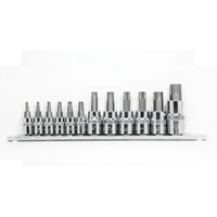 CHICANE 12 Piece Tamper Proof Torx Bits Socket Set #CH4023