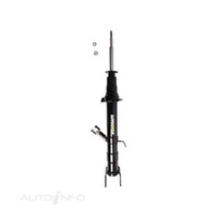 ROADSAFE STR Sealed Strut For FORD TERRITORY SY 4.0L BARRA 190  #R600415