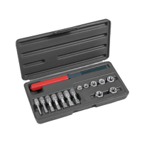New TOLEDO Thread Restoring Set 15 Piece Metric 301450