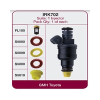 GOSS Injector Repair Kit For HSV SENATOR VU Wagon 9/1997-8/2000 #IRK702