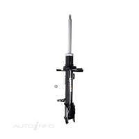 ROADSAFE STR Shock / strut - Front For FORD ESCAPE XLS ZB 2.3L L3 #R600376