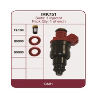 GOSS Injector Repair Kit For DAEWOO CIELO A15MF Hatchback 2/1995-8/1997 #IRK751