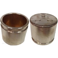 New Genuine PROTEX Disc Caliper Piston - Front #090P0486