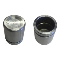 New Genuine PROTEX Caliper Piston #090P0609
