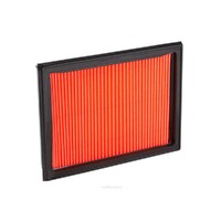 New Genuine RYCO Air Filter - Panel #A1266