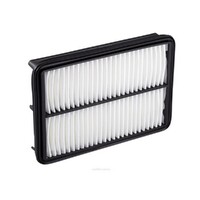 New Genuine RYCO Air Filter - Panel #A1516