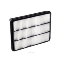 New Genuine RYCO Air Filter-Panel #A1522