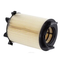 New Genuine RYCO Air Filter - Round #A1564