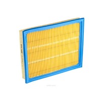 New Genuine RYCO Air Filter-Panel #A1581