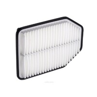 New Genuine RYCO Air Filter - Panel #A1590