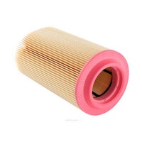 New Genuine RYCO Air Filter Oval #A1602