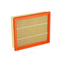 New Genuine RYCO Air Filter - Panel #A1618