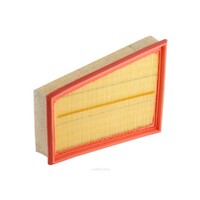 New Genuine RYCO Air Filter - Panel #A1702