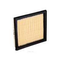 New Genuine RYCO Dust Holidng Air Filter #A1761