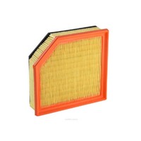 New Genuine RYCO Dust Holidng Air Filter #A1769