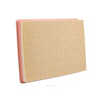 New Genuine RYCO Dust Holidng Air Filter #A1789