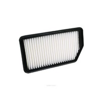 New Genuine RYCO Dust Holidng Air Filter #A1793
