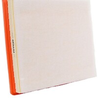 New Genuine RYCO Air Filter #A1805