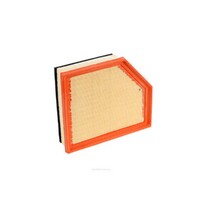 New Genuine RYCO Dust Holidng Air Filter #A1813