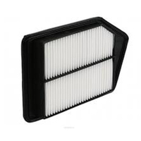 New Genuine RYCO Dust Holidng Air Filter #A1824