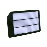 New Genuine RYCO Air Filter - Panel #A1843