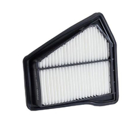 New Genuine RYCO Dust Holidng Air Filter #A1863