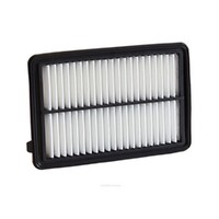 New Genuine RYCO Dust Holidng Air Filter #A1869