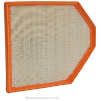 New Genuine RYCO Air Filter #A1873