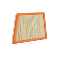 New Genuine RYCO Dust Holidng Air Filter #A1878