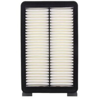 New Genuine RYCO Dust Holidng Air Filter #A1917