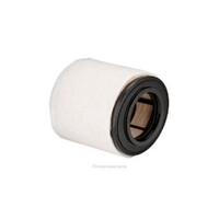 New Genuine RYCO Dust Holidng Air Filter #A1953