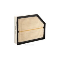 New Genuine RYCO Dust Holidng Air Filter #A1956