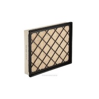 New Genuine RYCO Air Filter #A1957