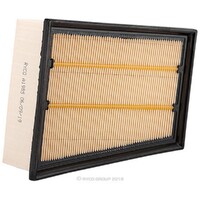 New Genuine RYCO Air Filter #A1985