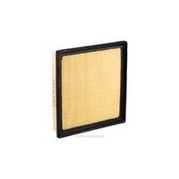 New Genuine RYCO Air Filter #A1986