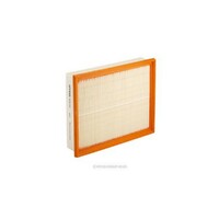 New Genuine RYCO Dust Holidng Air Filter #A2010