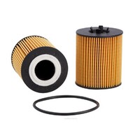 New Genuine RYCO Oil Filter Cartridge #R2591P