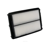 New Genuine RYCO Dust Holidng Air Filter #A1460