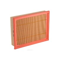 New Genuine RYCO Air Filter - Panel #A1681
