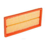 New Genuine RYCO Dust Holidng Air Filter #A1731