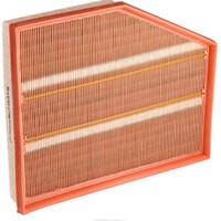 New Genuine RYCO Air Filter - Panel #A1742