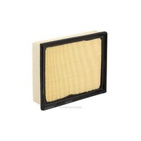New Genuine RYCO Air Filter - Panel  #A1992
