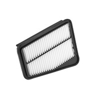 New Genuine RYCO Dust Holidng Air Filter  #A1995