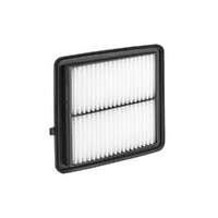 New Genuine RYCO Air Filter - Panel  #A2021