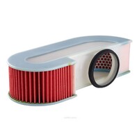 New Genuine RYCO Air Filter Oval #A493