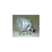 New Genuine HPP LUNDS Piston #13101-54100-01NG