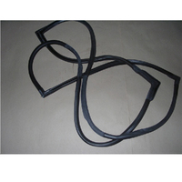 New Genuine HPP LUNDS Door Seal - Rear #68291-90301NG