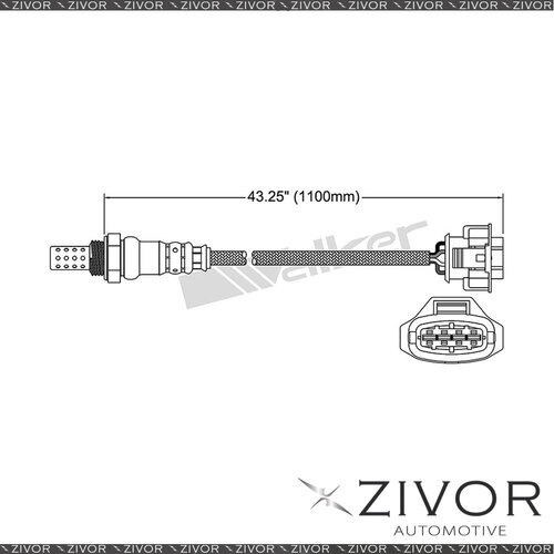 New Post Catalytic Oxygen Sensor For Holden HSV VXR AH 2.0 Turbo Z20LEH 4 Cyl