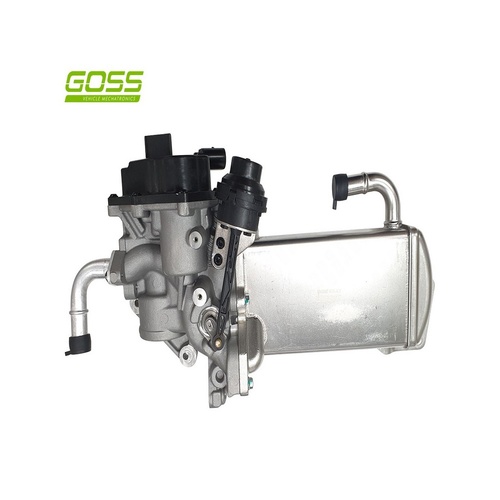 GOSS Exhaust Gas Recirculation Valve & Cooler Assembly For VOLKSWAGEN EV158
